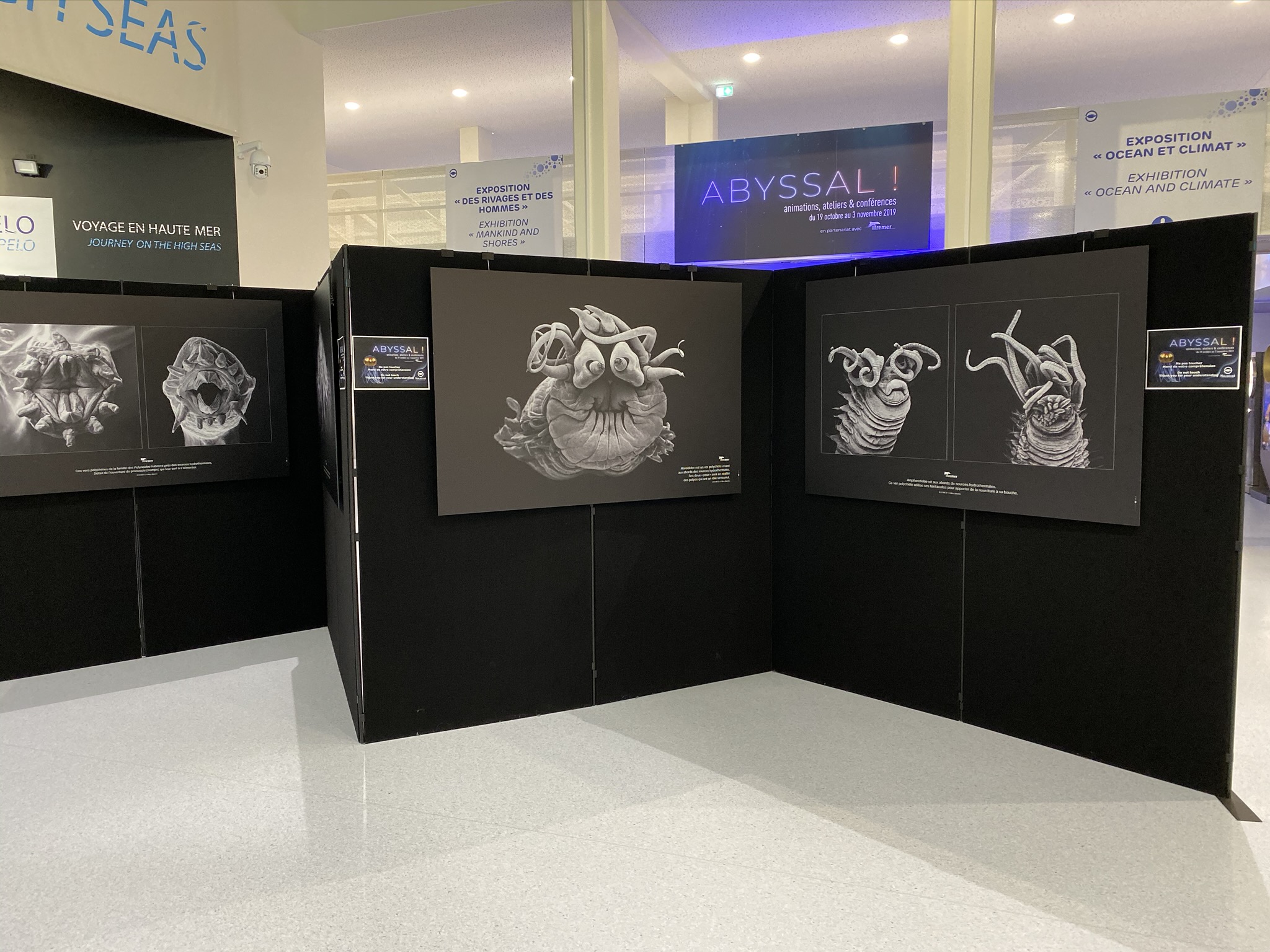 Location de panneaux d'exposition pour le Nausicaa
